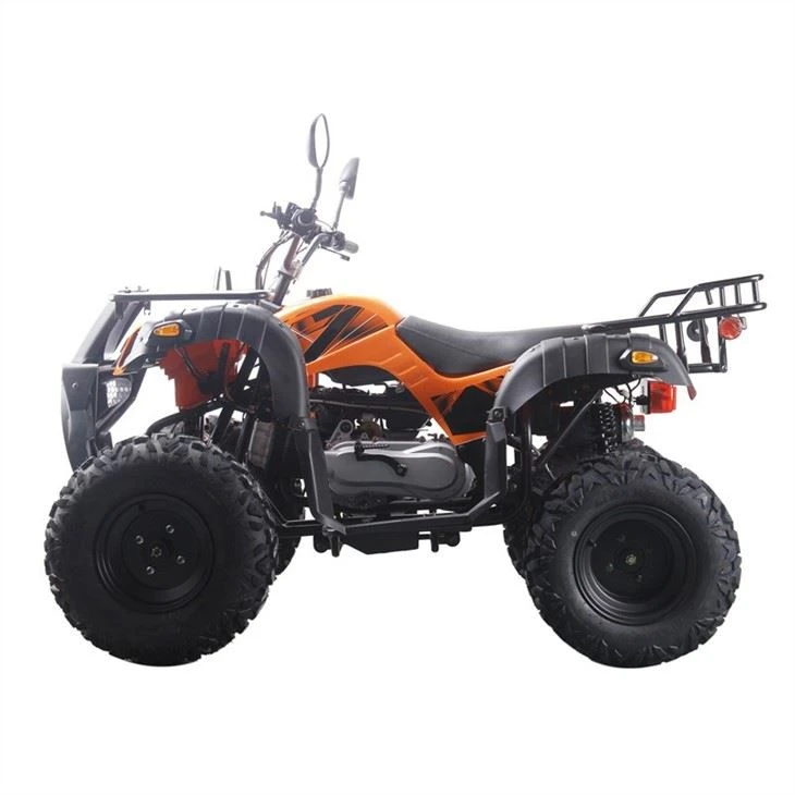 250cc atv quad (1)