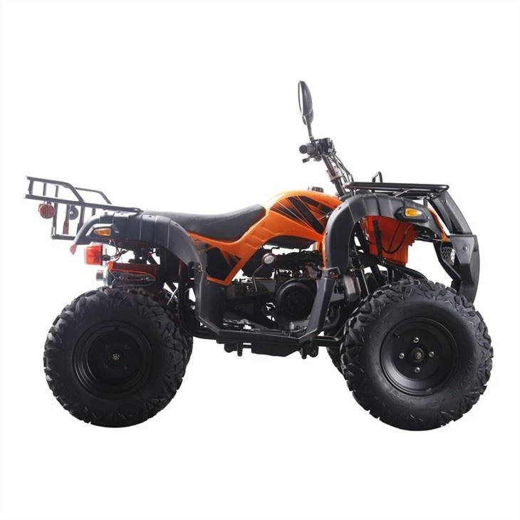 250cc atv quad (2)