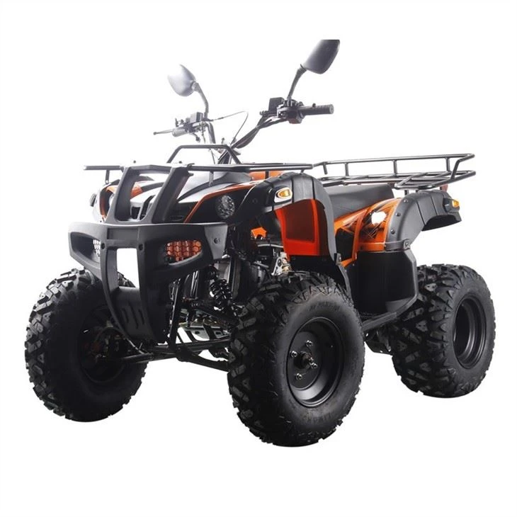 250cc atv quad (5)